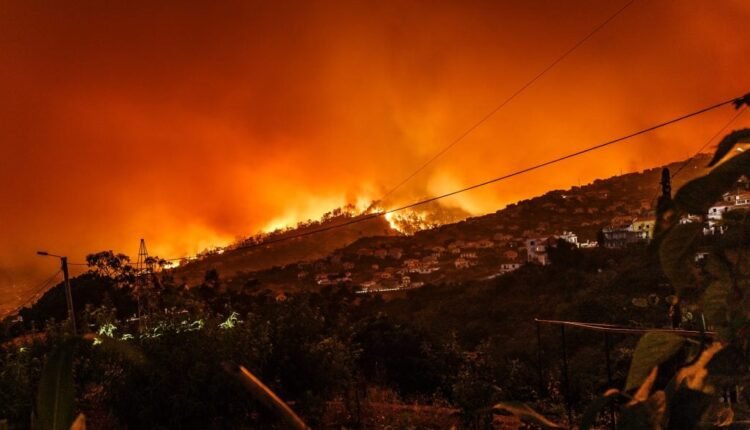 Στο-έλεος-των-πυρκαγιών-η-Ισπανία:-Πάνω-από-3700.000-στρέμματα-έχουν-γίνει-στάχτη