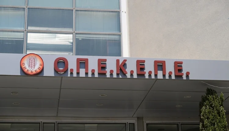 Προπηλακισμό-και-απειλές-καταγγέλλει-ότι-δέχθηκε-κλιμάκιο-του-ΟΠΕΚΕΠΕ-στις-Μοίρες-Ηρακλείου